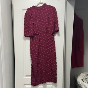 BCBGMaxAzria Burgundy Textured Long Sleeve Dress